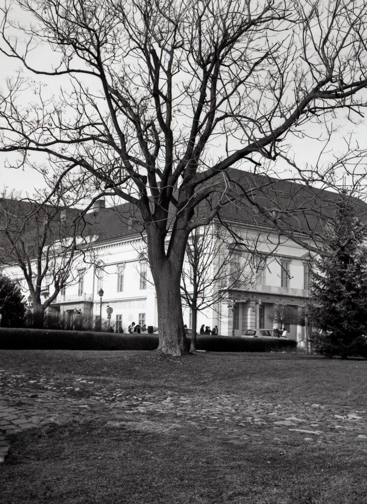 Konica Pearl III Fomapan 100-9822