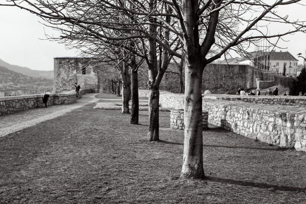 Konica Pearl III Fomapan 100-9823