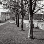 Konica Pearl III Fomapan 100-9823
