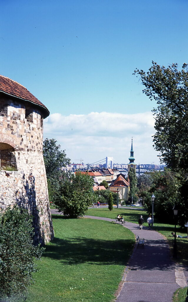 Konica IIIM Astia 100-7859