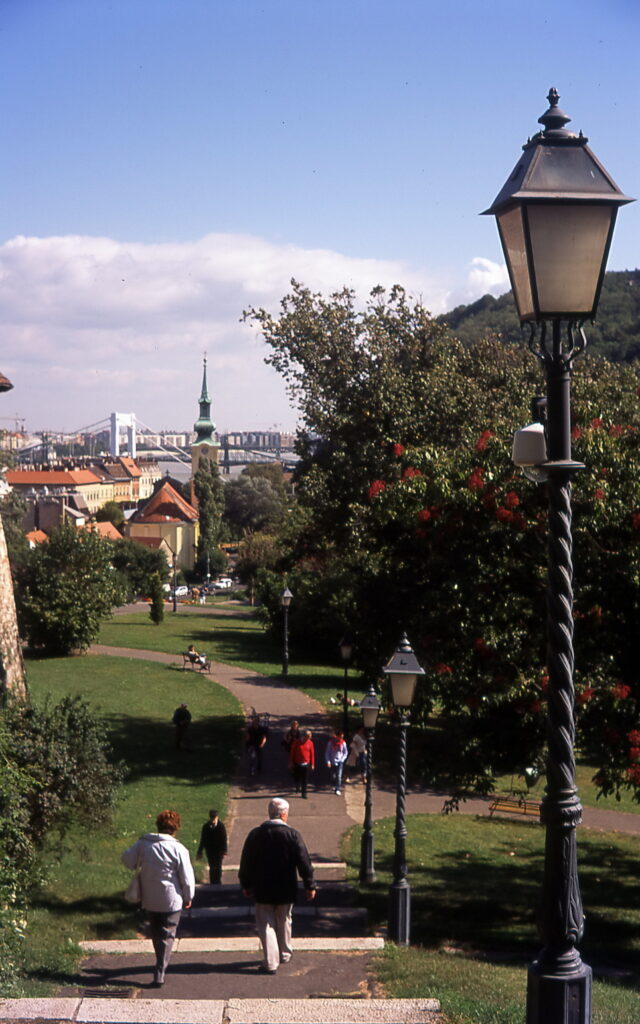 Konica IIIM Astia 100-7860