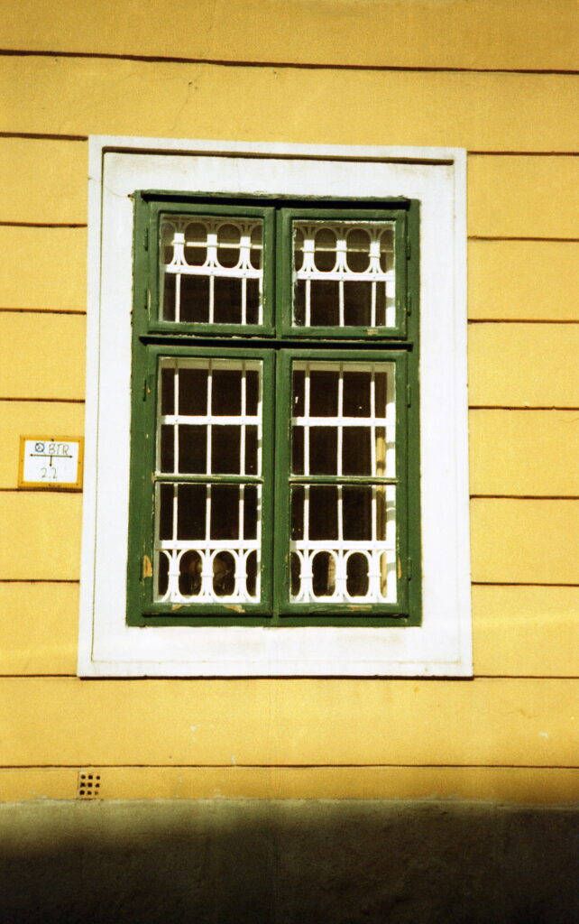 Konica Big Mini BM302 Ferrania Solaris 100 -11344