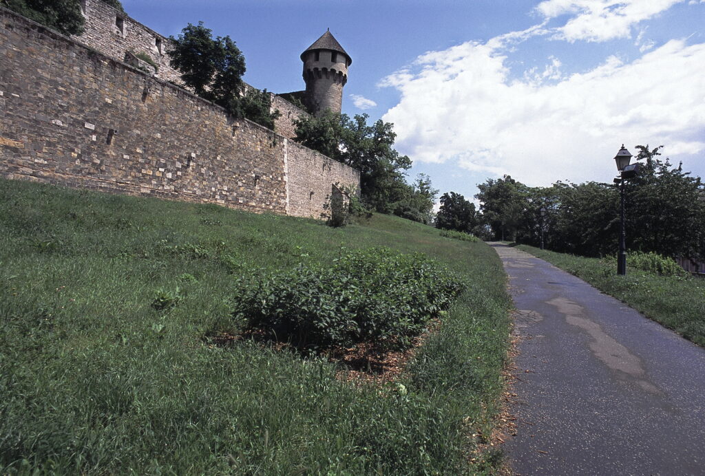 Konica Hexanon 21mm f4 EE II Konica FC-1-7393