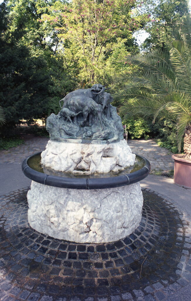 Konica FP Konishiroku Hexanon 35mm f2.8 FujiColor 200-8958