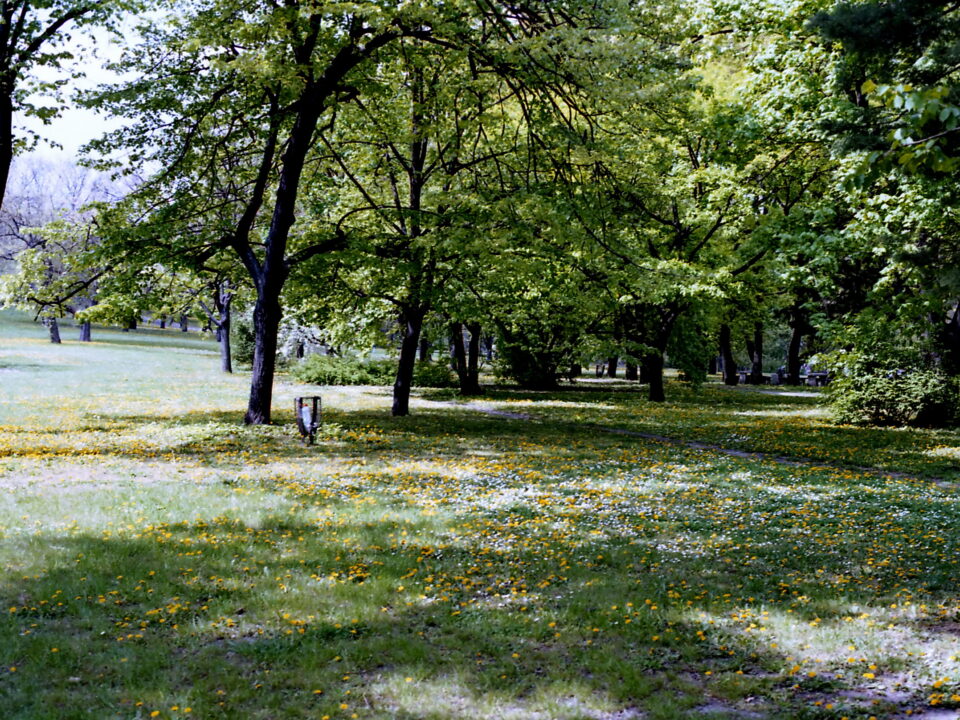 Tudorcolor XLX ISO 100 Konica FC-1 Hexanon 40mm f1.8