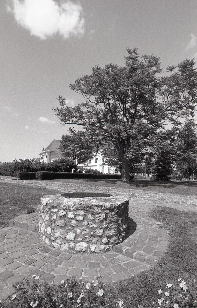 Nikon FA Nikkor 20mm f2.8 AIS Ilford F-Pan ISO 50-9137