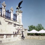Olympus Infinity-S Rossman 200-9075