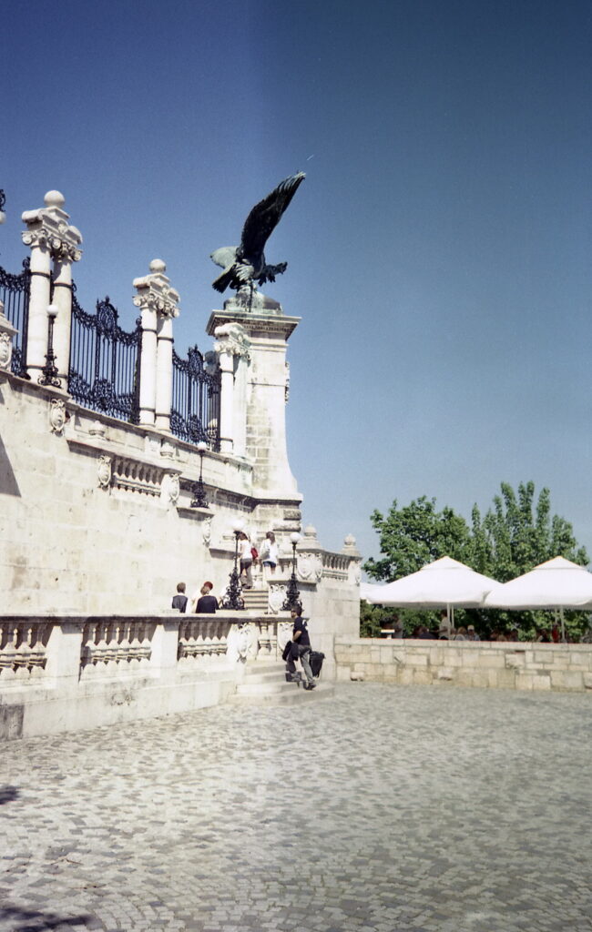 Olympus Infinity-S Rossman 200-9075