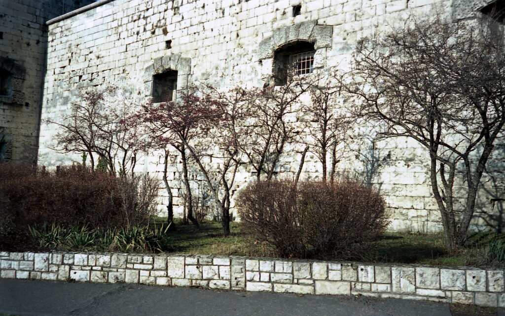Olympus MJU-1 black Fujicolor 200-10604