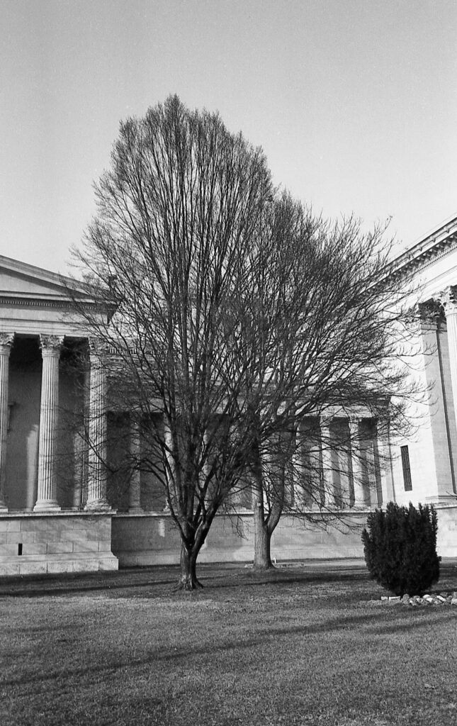 Olympus MJU-2 Fomapan 100 Fomadon LQN -10766