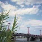 Olympus Trip AF 31-6293