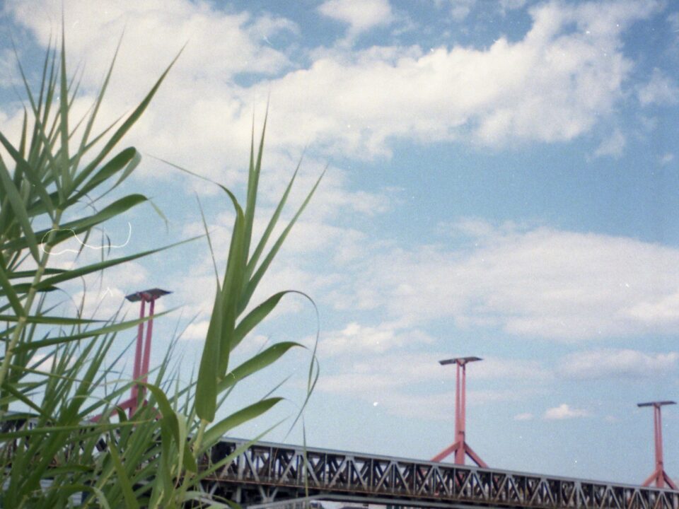 Olympus Trip AF 31