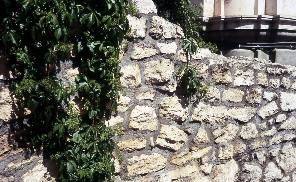 Canon QL-17 Fuji Sensia 100-9398