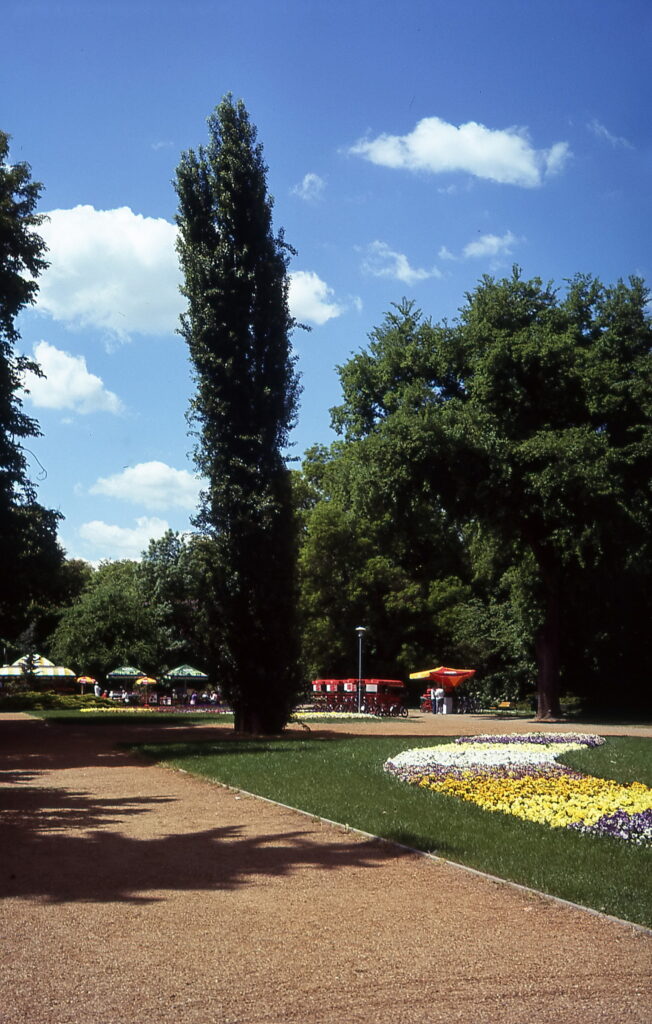 Canon QL-17 Fuji Sensia 100-9407
