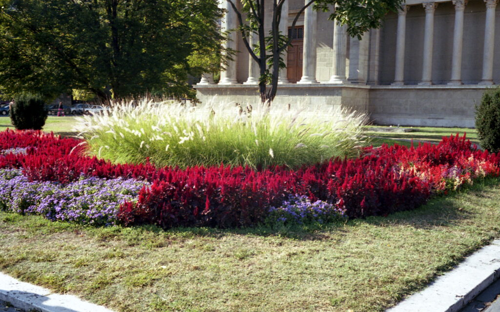 Canonet QL 17 Kodak UC 100-6664