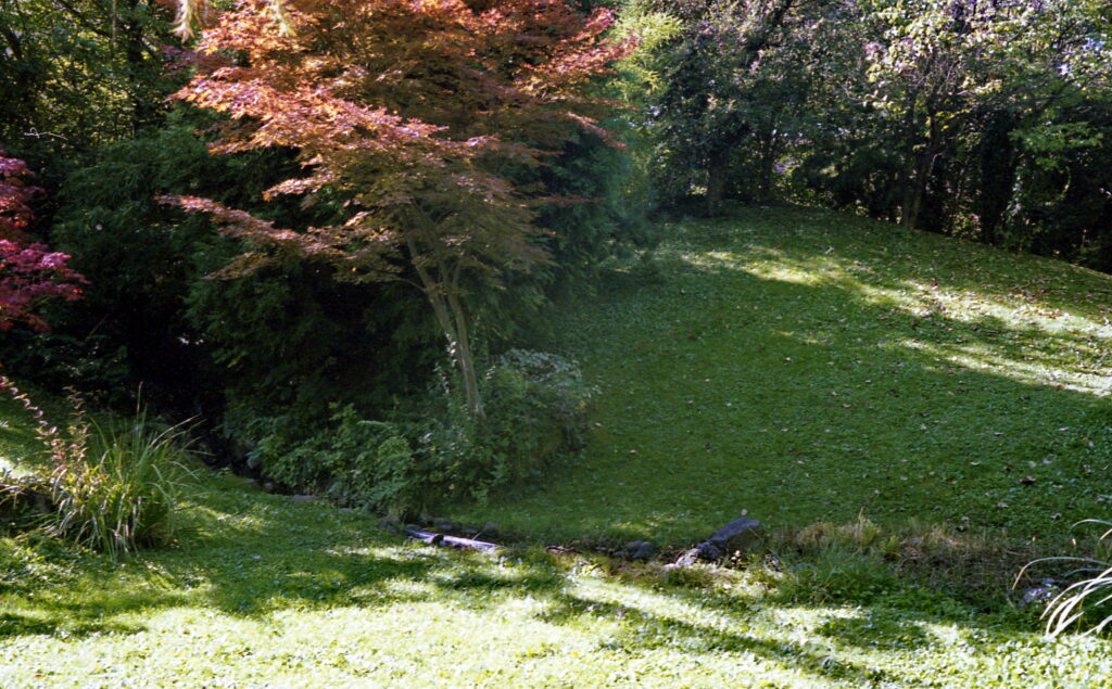Canonet QL 17 Kodak UC 100-6665
