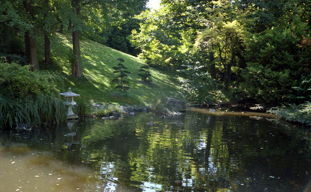 Canonet QL 17 Kodak UC 100-6668