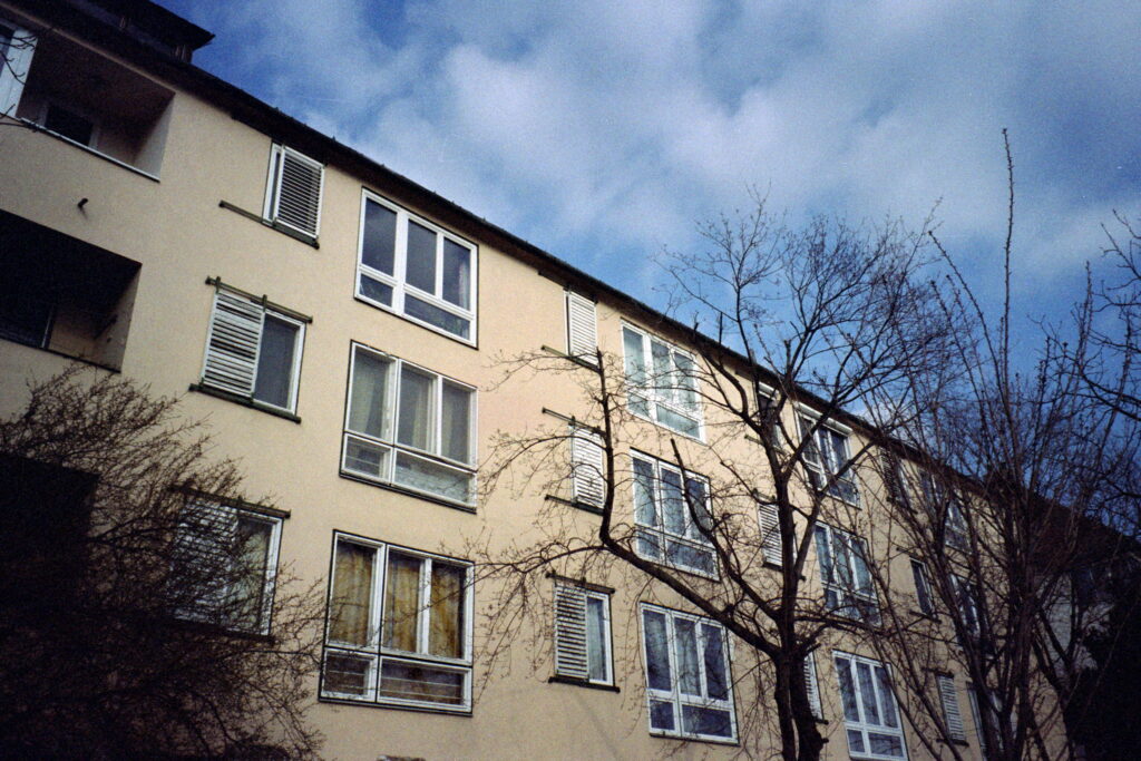 Fuji DL Mini-Zoom-13287