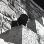 Mamiya C3 Fortepan 100-12262