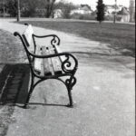Mamiya C3 Fortepan 100-12264