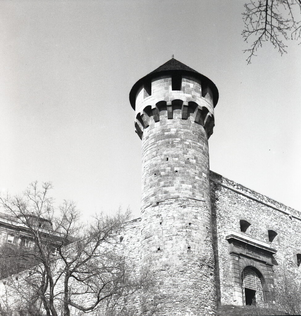 Mamiya C3 Fortepan 100-12269