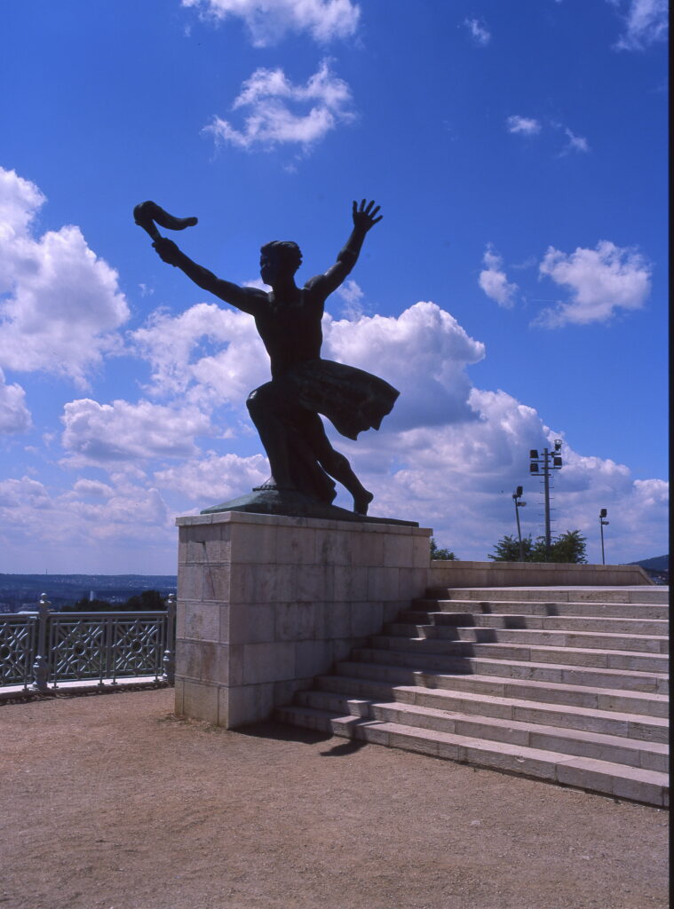 Pentax 645 Flektogon 50 MC Kodak Ektachrome 100-9540