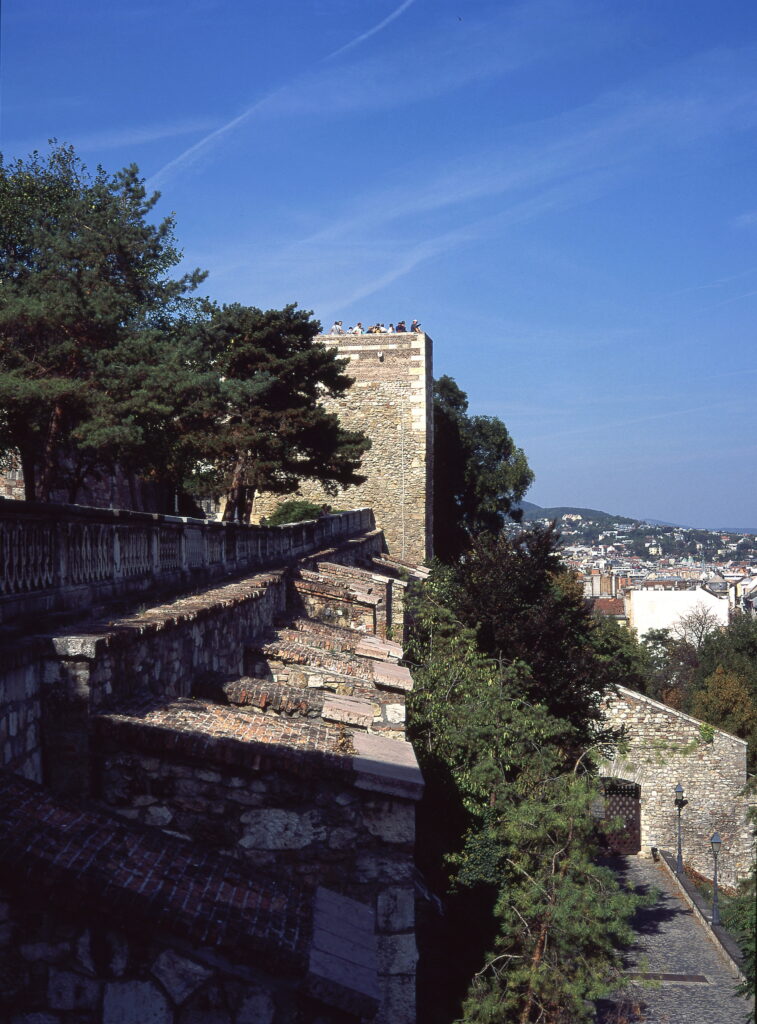 Pentax 645 Biometar 80 Provia 100-13483
