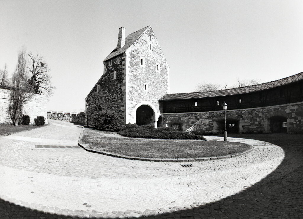 Pentax 645 Arsat 30mm Fisheye Fomapan 100-12345
