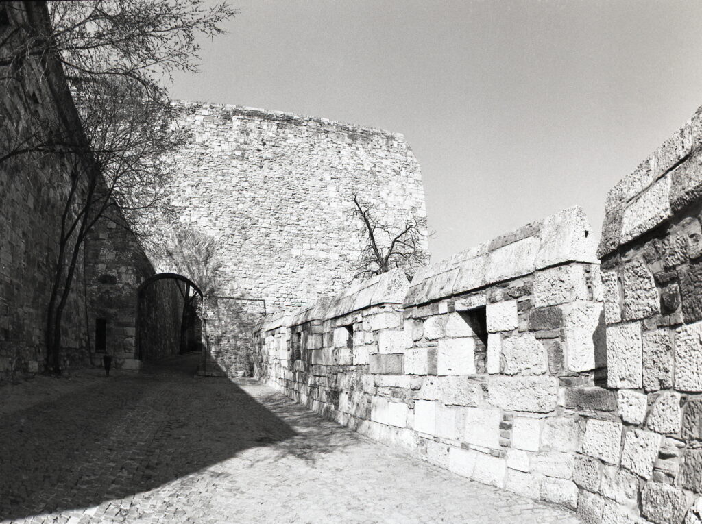 Pentax 645 Arsat 30mm Fisheye Fomapan 100-12347