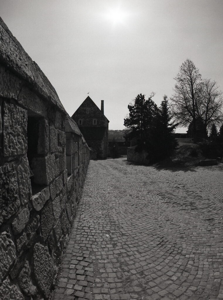Pentax 645 Arsat 30mm Fisheye Fomapan 100-12348