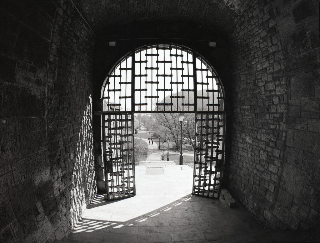 Pentax 645 Arsat 30mm Fisheye Fomapan 100-12350