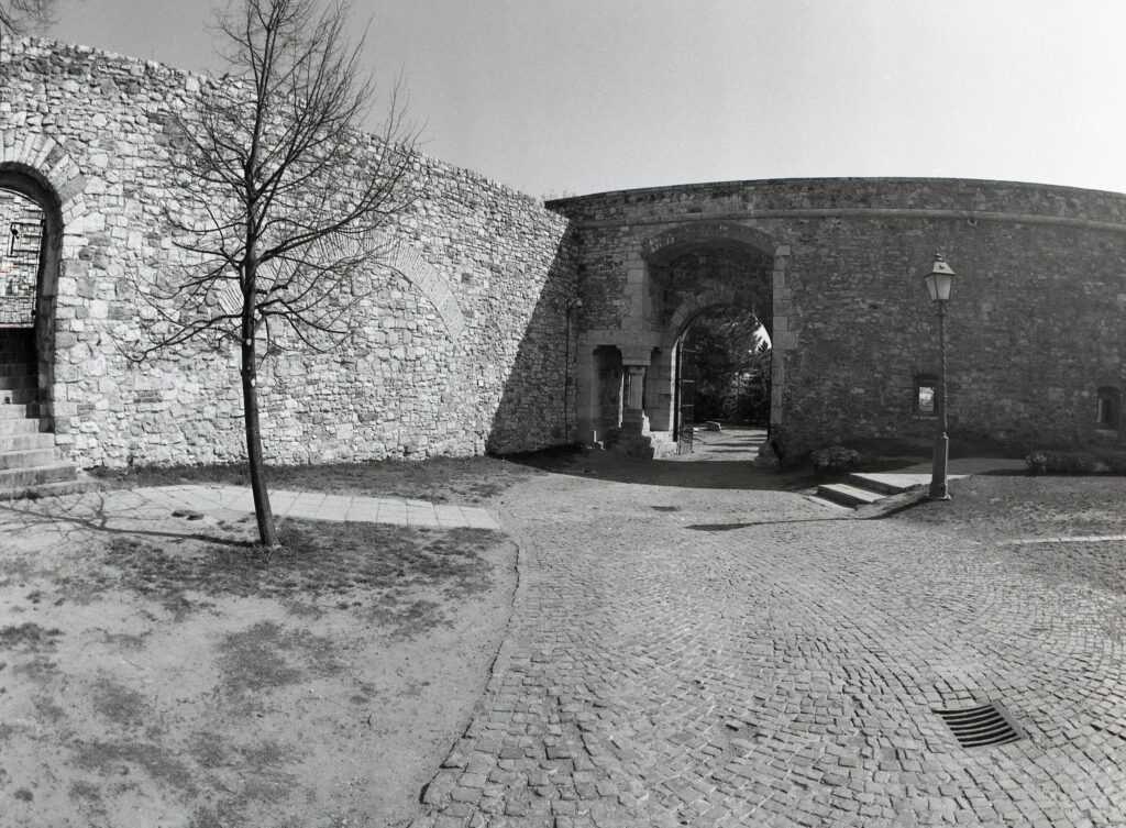 Pentax 645 Arsat 30mm Fisheye Fomapan 100-12352