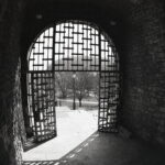 Pentax 645 Arsat 30mm Fisheye Fomapan 100-12354