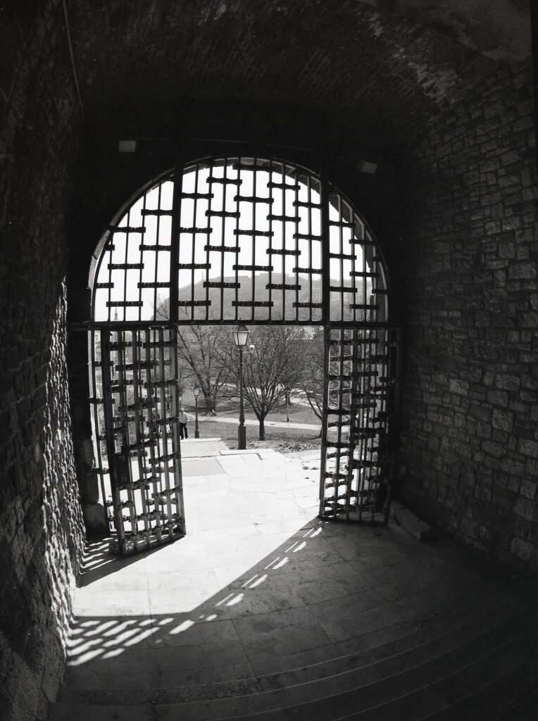 Pentax 645 Arsat 30mm Fisheye Fomapan 100-12354