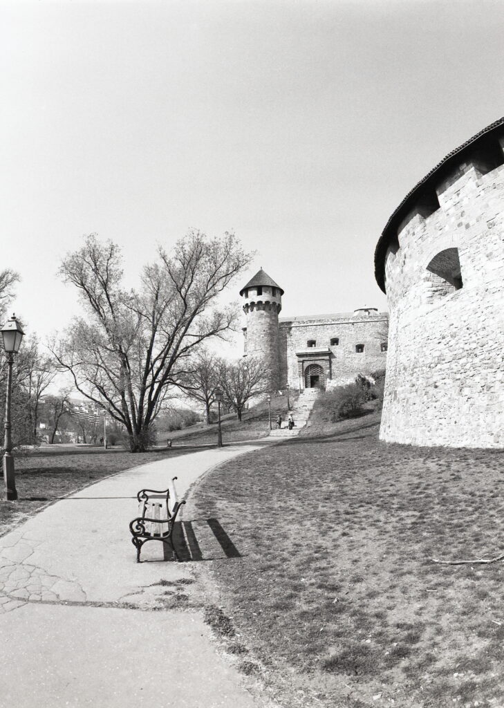 Pentax 645 Arsat 30mm Fisheye Fomapan 100-12356