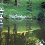 Pentax 645 Pentacon Six lenses-6325