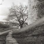 Revue400SE Fomapan100-10662