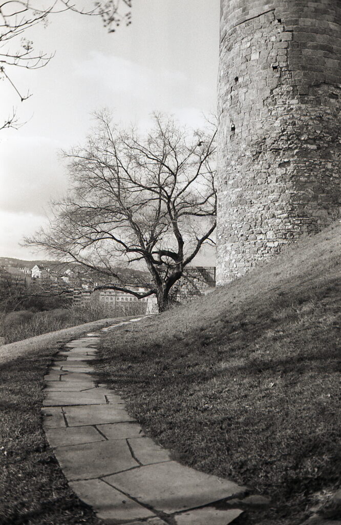 Revue400SE Fomapan100-10662