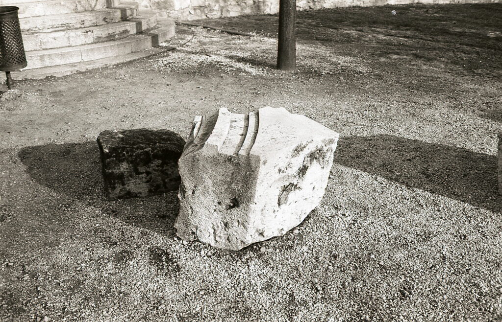 Revue400SE Fomapan100-10665