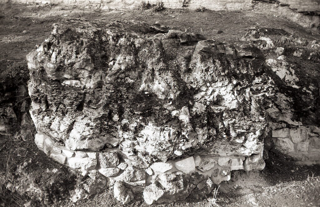 Revue400SE Fomapan100-10666