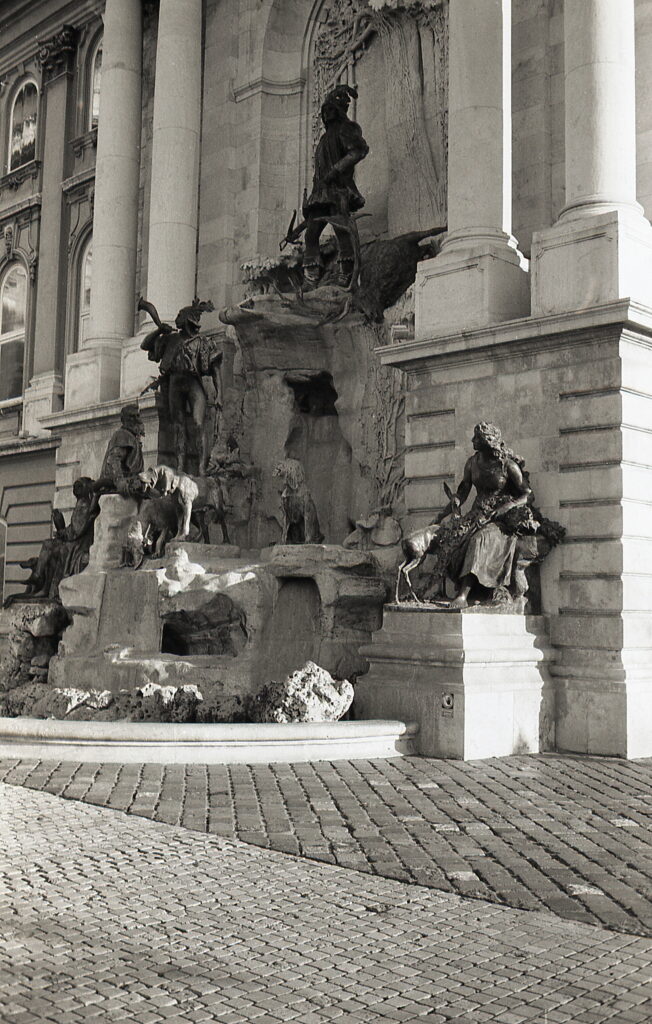 Revue400SE Fomapan100-10667