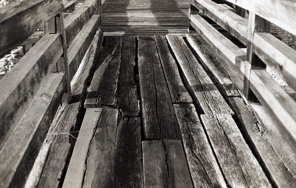 Revue400SE Fomapan100-10668
