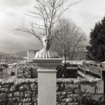 Revue400SE Fomapan100-10669