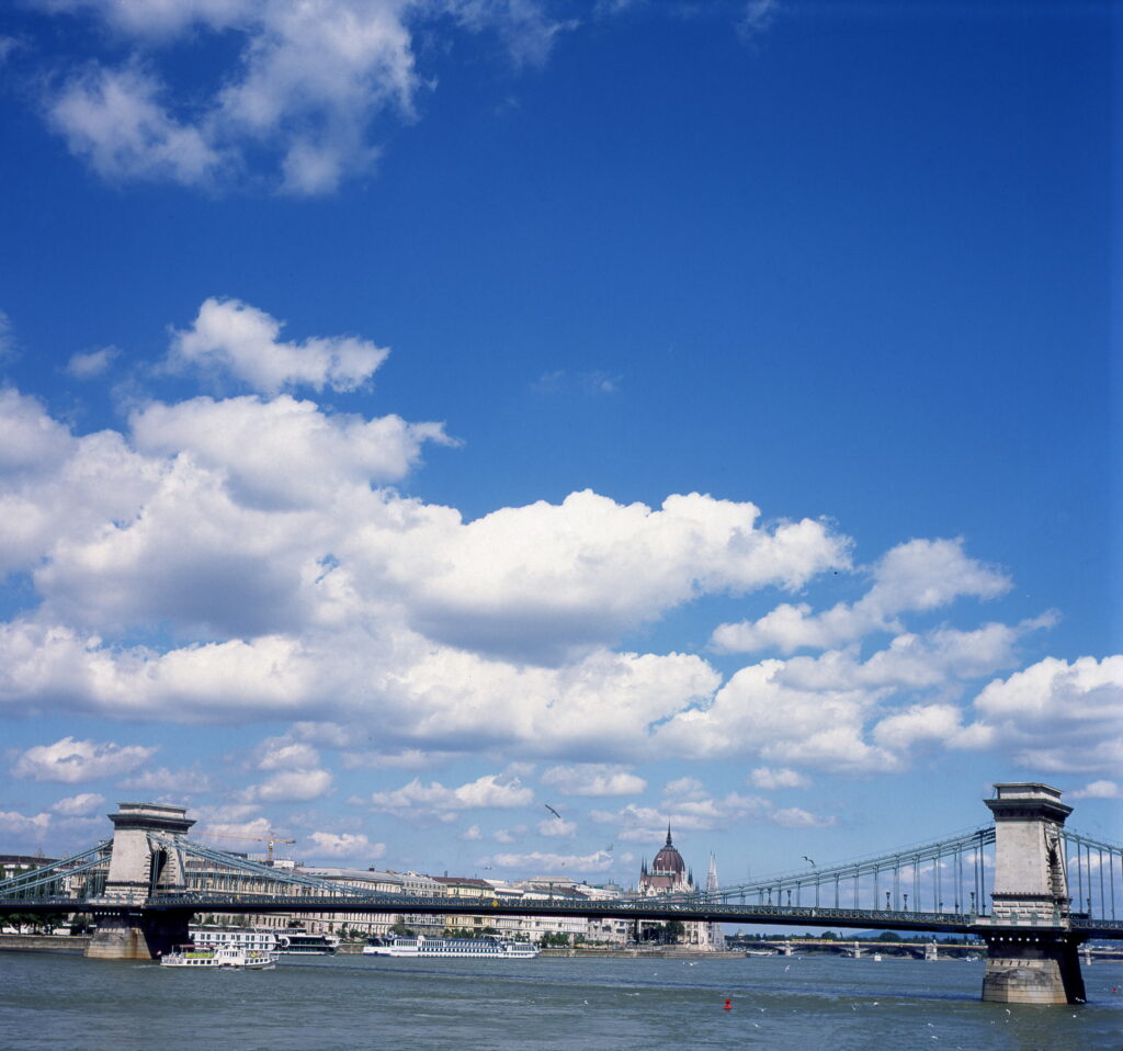 Ricohflex Provia 100-9974