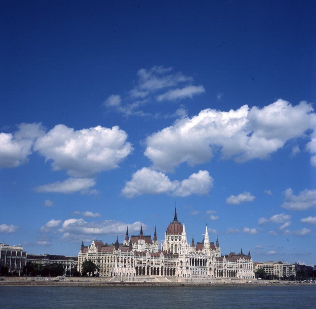 Ricohflex Provia 100-9975