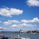 Ricohflex Provia 100-9977
