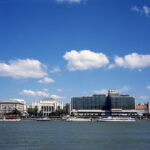 Ricohflex Provia 100-9978