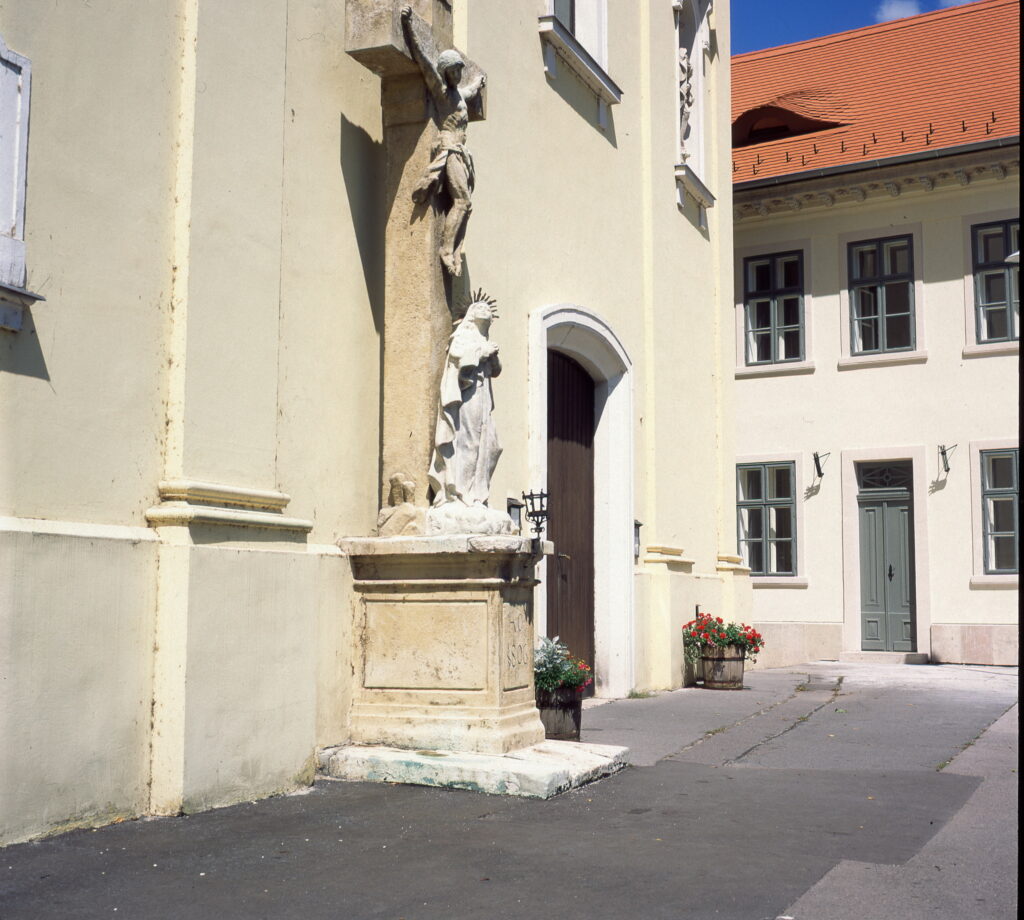 Ricohflex Provia 100-9979