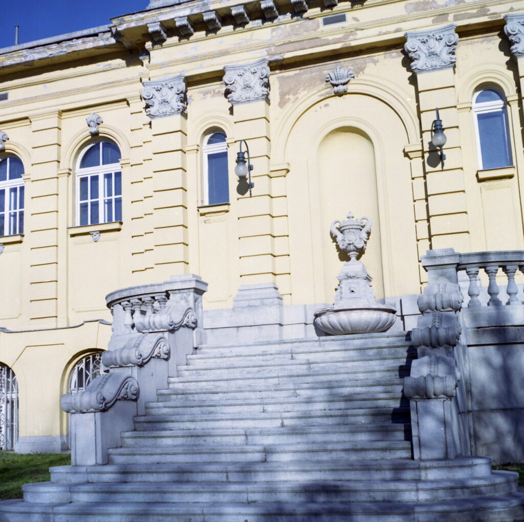 Ricohflex Dia L - Fuji Pro S160-8411