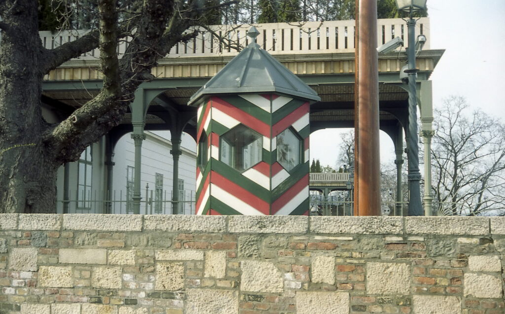 Taron 35 Tomioka lens-8548